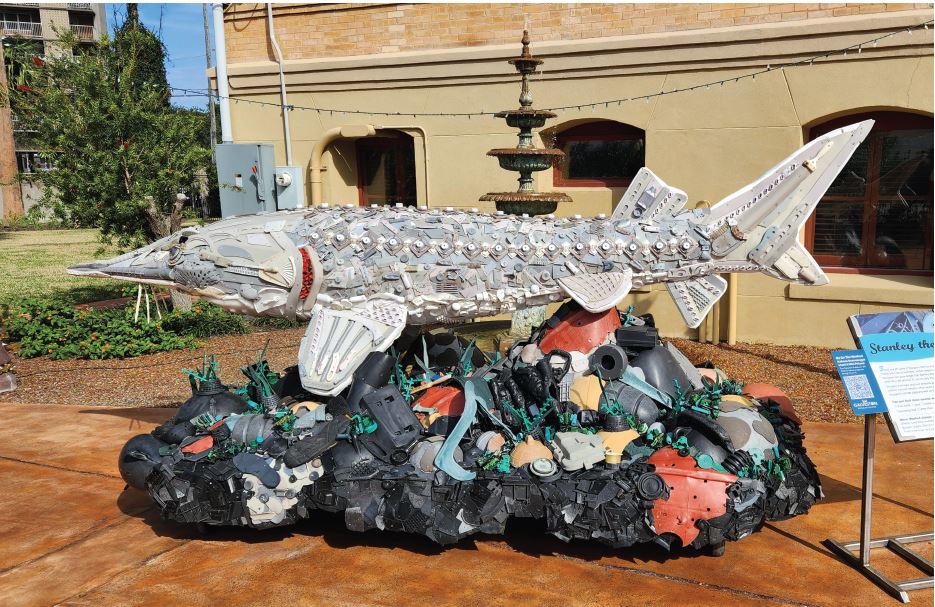 Washed Ashore