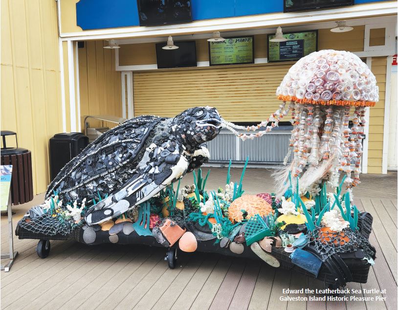 Washed Ashore