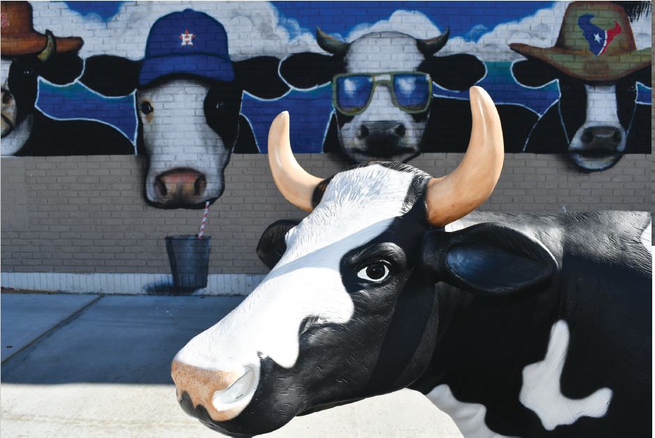 Galveston Monthly - Exploring Your Island Paradise