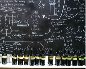 Blend Wine