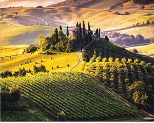 Experience Chianti