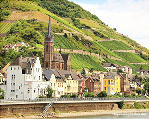 Rhone Valley