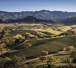 Santa Barbara