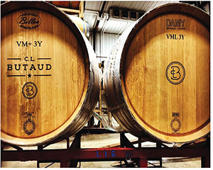 Texas Wine Month