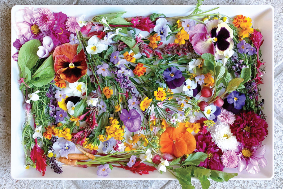 Edible Flowers