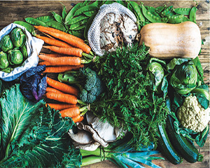 Fall Harvest