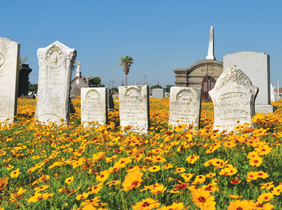 Cemetery Stroll